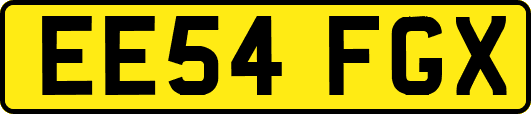 EE54FGX