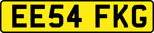 EE54FKG