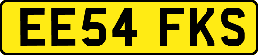 EE54FKS