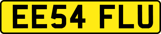 EE54FLU