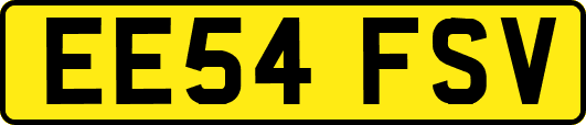 EE54FSV