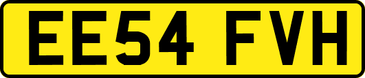 EE54FVH