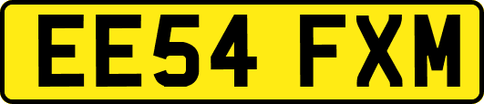 EE54FXM