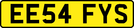 EE54FYS