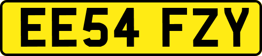 EE54FZY