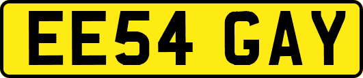 EE54GAY