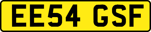 EE54GSF