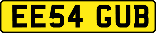 EE54GUB