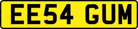 EE54GUM