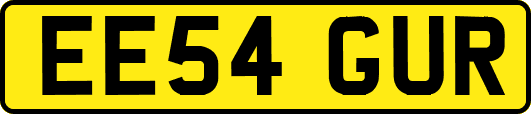 EE54GUR