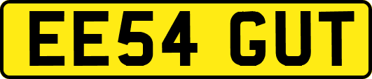 EE54GUT