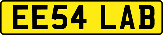 EE54LAB