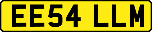EE54LLM