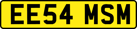EE54MSM