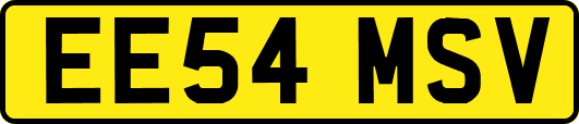 EE54MSV