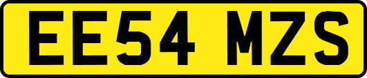 EE54MZS