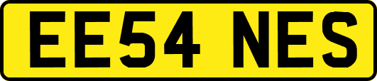 EE54NES