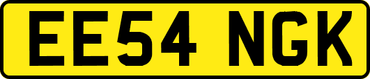 EE54NGK