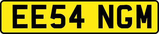 EE54NGM