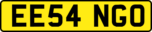 EE54NGO