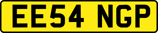 EE54NGP