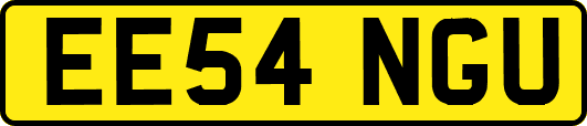 EE54NGU