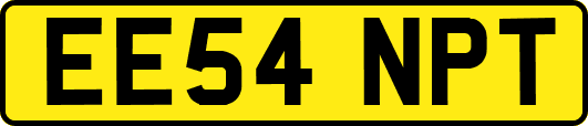 EE54NPT