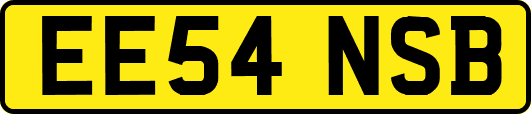 EE54NSB