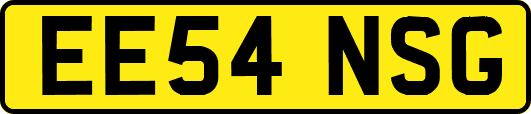 EE54NSG