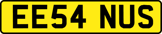 EE54NUS