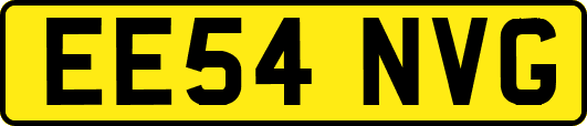 EE54NVG