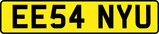 EE54NYU
