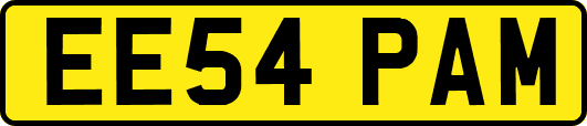 EE54PAM