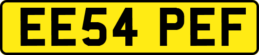 EE54PEF