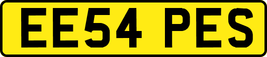 EE54PES