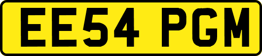 EE54PGM