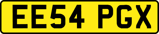 EE54PGX
