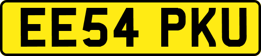EE54PKU