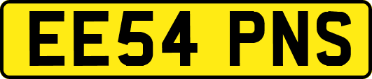 EE54PNS