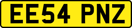 EE54PNZ