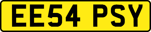 EE54PSY