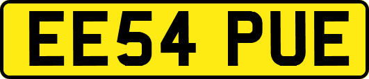 EE54PUE