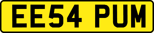 EE54PUM