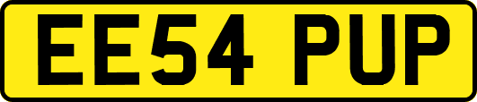 EE54PUP
