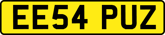 EE54PUZ