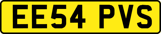 EE54PVS