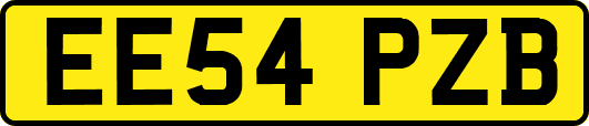 EE54PZB