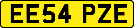 EE54PZE
