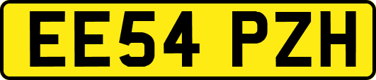 EE54PZH