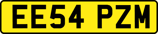 EE54PZM